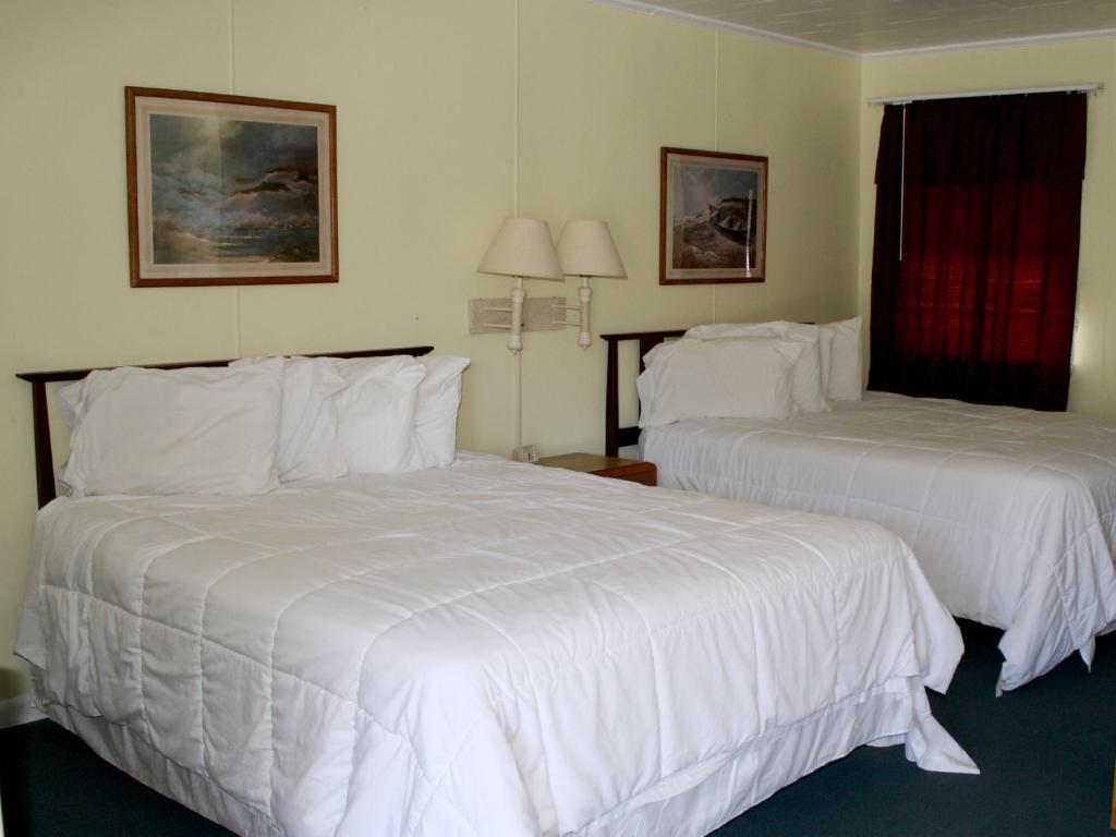 Falcon Motel Бакстон Номер фото