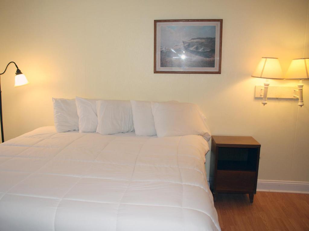Falcon Motel Бакстон Номер фото